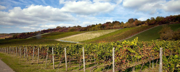 Armin Faber Fotografie